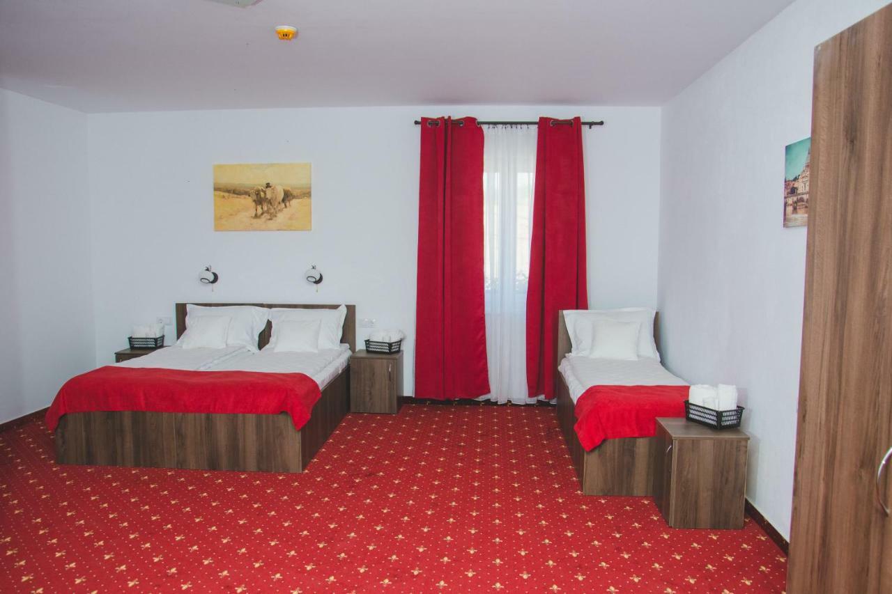 Pensiunea Iliada Sibiu Buitenkant foto