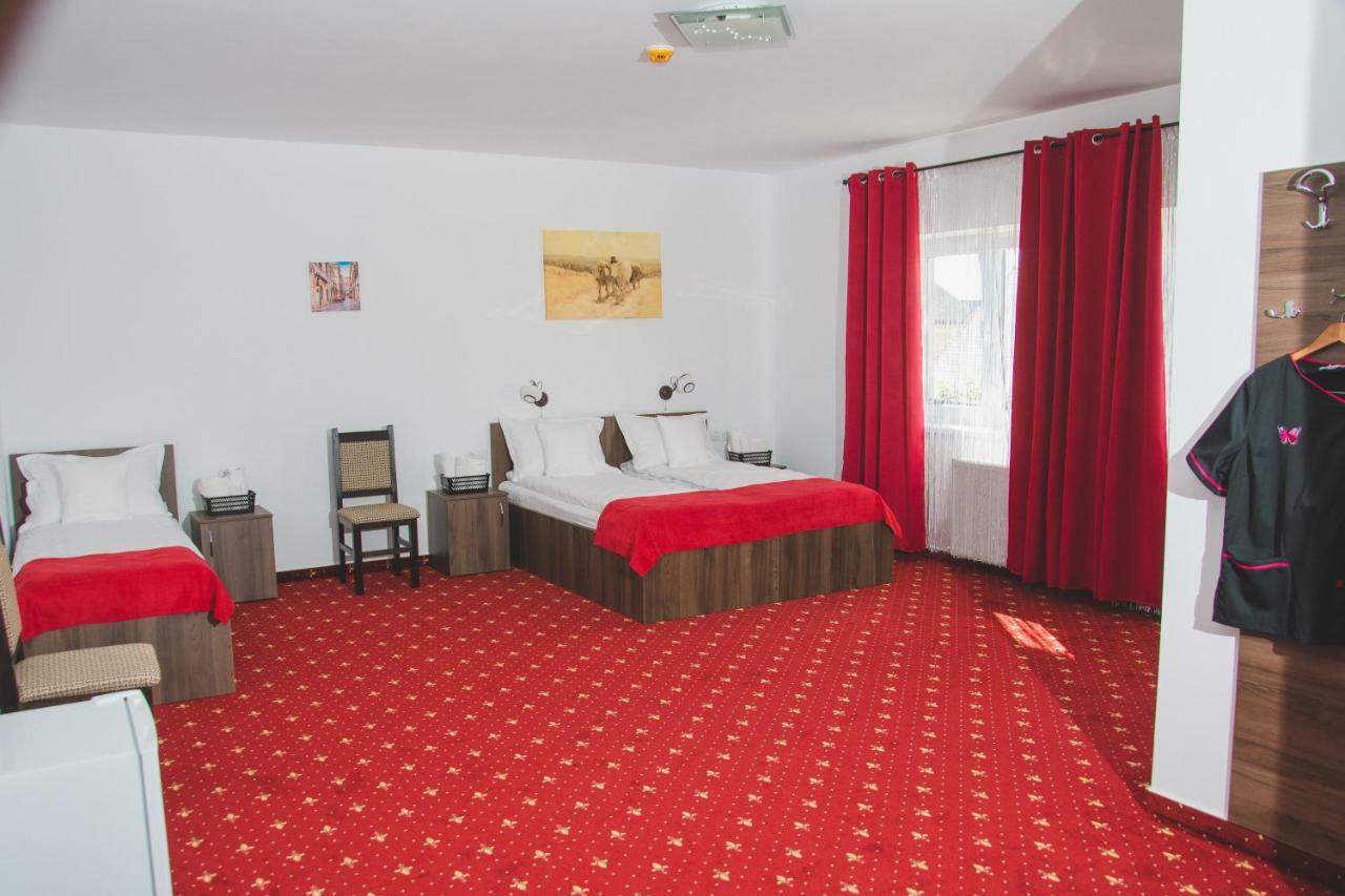 Pensiunea Iliada Sibiu Buitenkant foto
