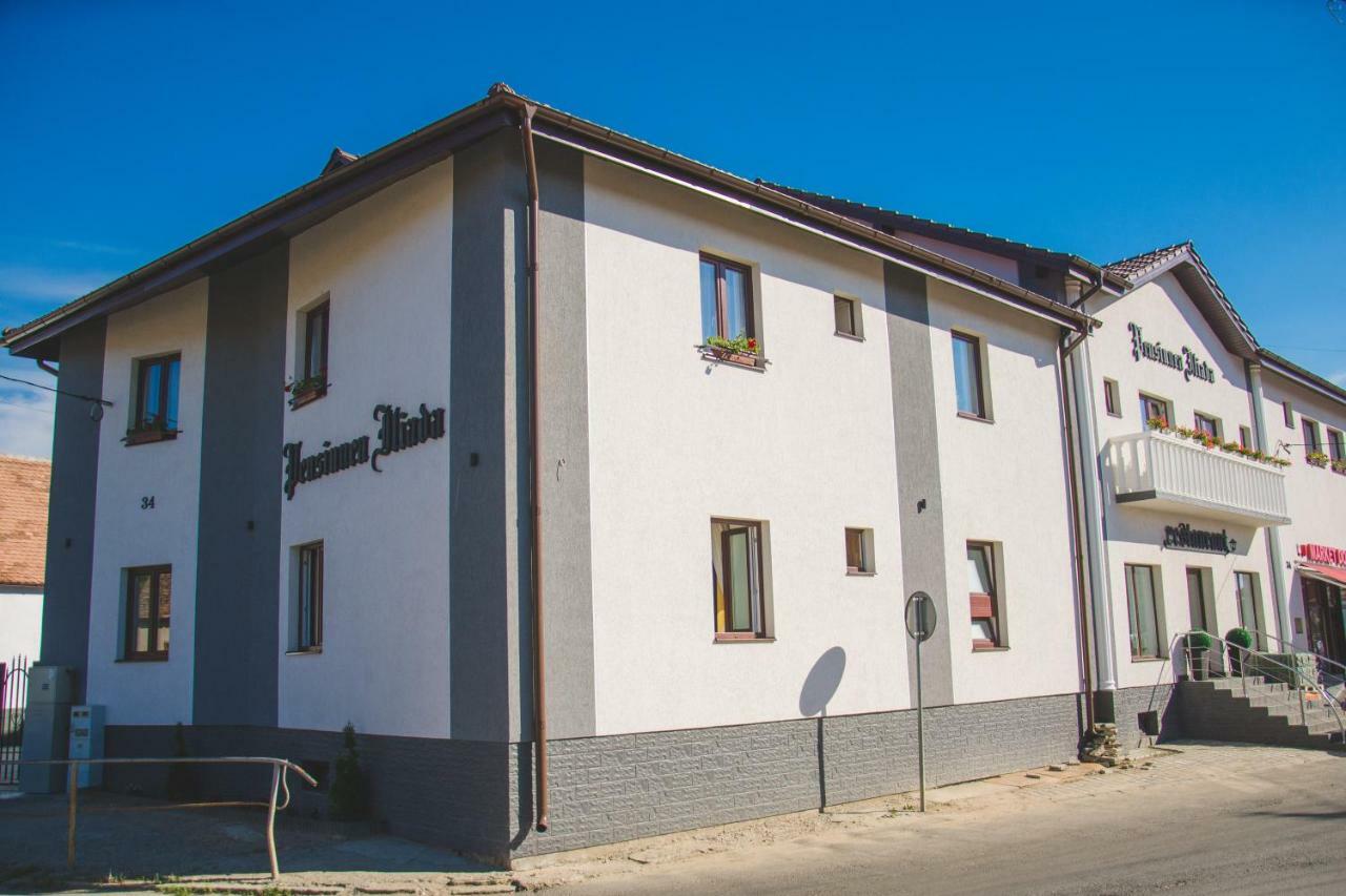 Pensiunea Iliada Sibiu Buitenkant foto