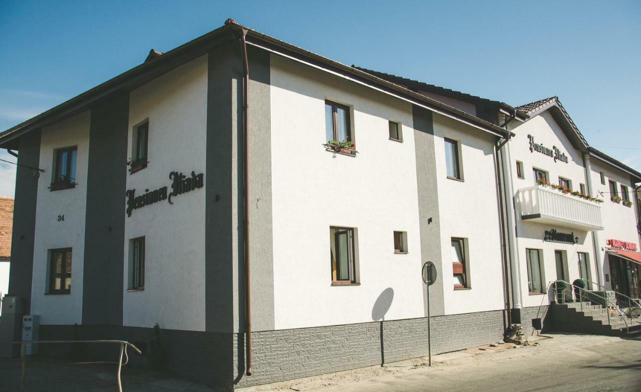 Pensiunea Iliada Sibiu Buitenkant foto