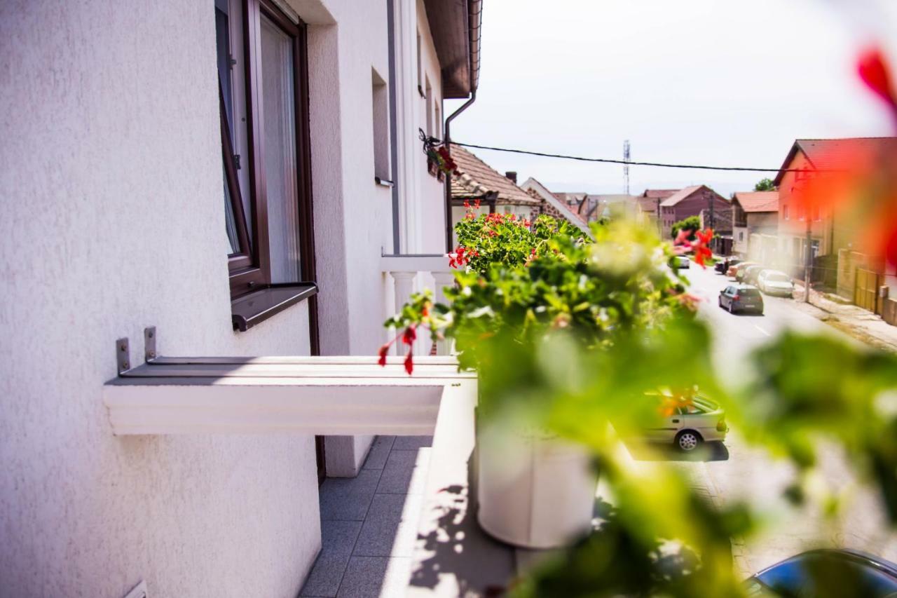 Pensiunea Iliada Sibiu Buitenkant foto